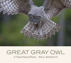 Great Gray Owl de Paul Bannick