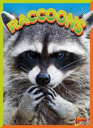 Raccoons de Gail Terp
