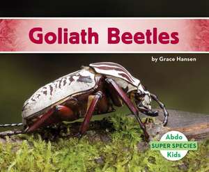 Goliath Beetles de Grace Hansen