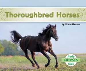 Thoroughbred Horses de Grace Hansen