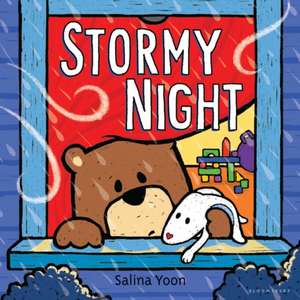 Stormy Night de Salina Yoon