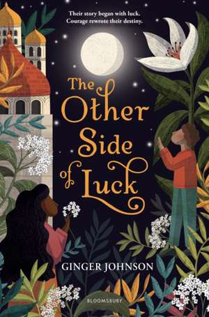 The Other Side of Luck de Ginger Johnson