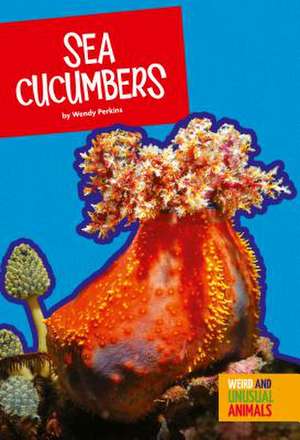 Sea Cucumbers de Wendy Perkins