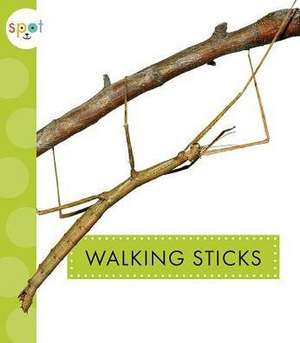 Walking Sticks de Nessa Black