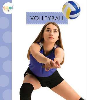 Volleyball de Mari C. Schuh