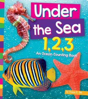 Under the Sea 1,2,3: An Ocean Counting Book de Tracey E. Dils