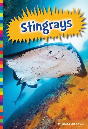 Stingrays de Elizabeth Raum