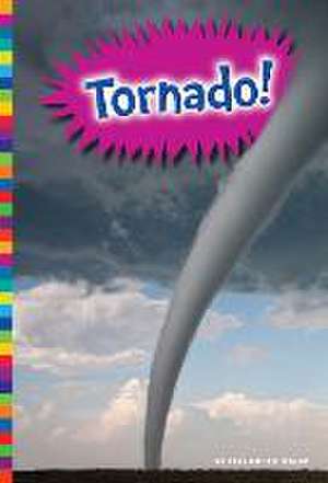 Tornado! de Elizabeth Raum