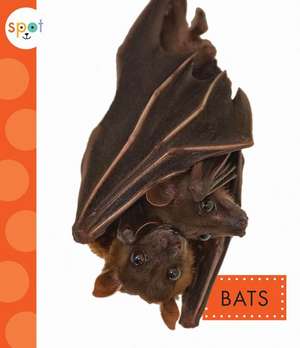 Bats de Wendy Strobel Dieker