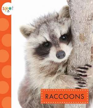 Raccoons de Marysa Storm