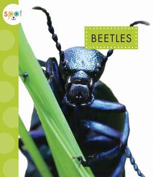 Beetles de Nessa Black