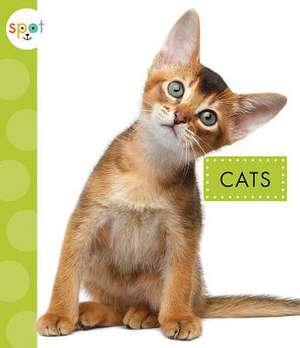 Cats de Mari C. Schuh