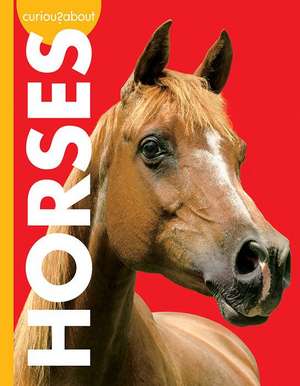 Curious about Horses de Jill Sherman