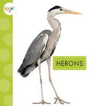 Herons de Lisa Amstutz