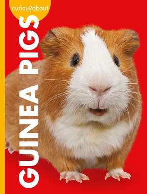 Curious about Guinea Pigs de Alissa Thielges