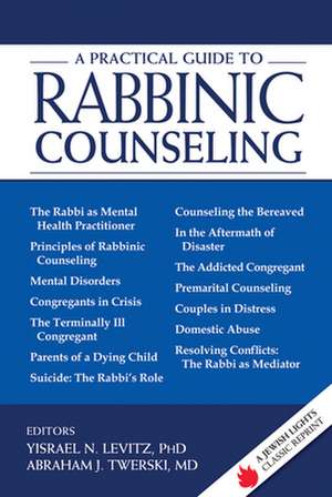 A Practical Guide to Rabbinic Counseling: A Jewish Lights Classic Reprint