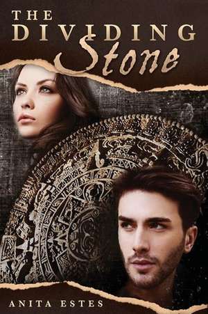 The Dividing Stone de Anita Estes