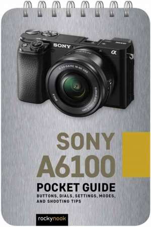 Sony a6100: Pocket Guide de Rocky Nook