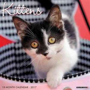 2017 Just Kittens Wall Calendar de Willow Creek Press