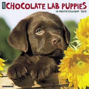 Just Chocolate Lab Puppies 2018 Wall Calendar (Dog Breed Calendar) de Willow Creek Press