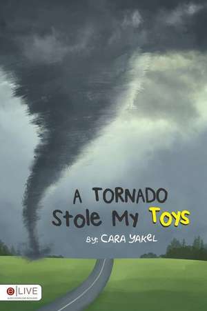 A Tornado Stole My Toys de Cara Yakel