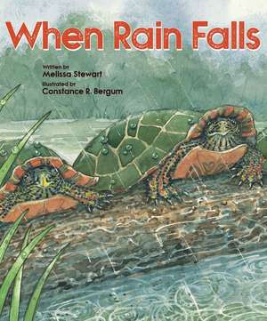 When Rain Falls de Melissa Stewart