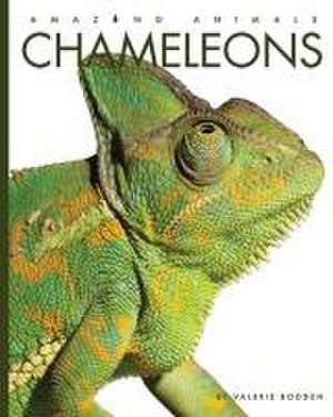 Chameleons de Valerie Bodden