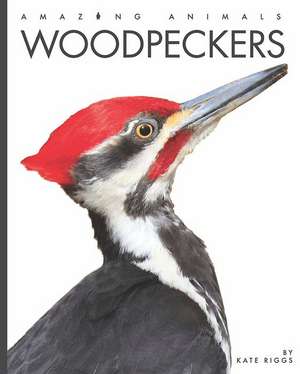 Woodpeckers de Kate Riggs