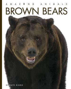 Brown Bears de Kate Riggs