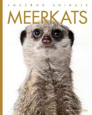 Meerkats de Kate Riggs