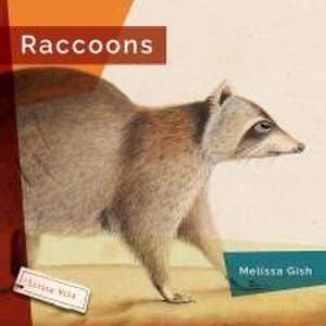 Raccoons de Melissa Gish