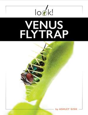 Venus Flytrap de Ashley Gish