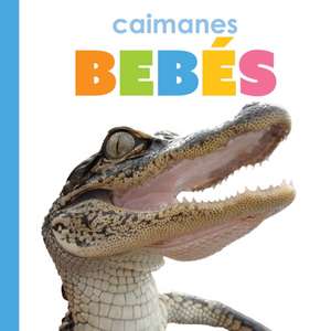 Caimanes Bebés de Kim Thompson
