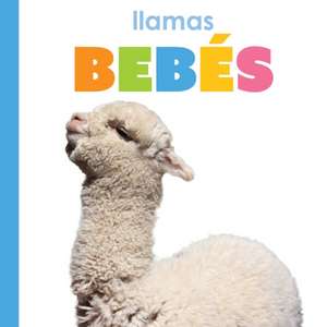 Llamas Bebés de Kim Thompson