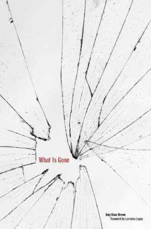 What Is Gone de Amy Knox Brown