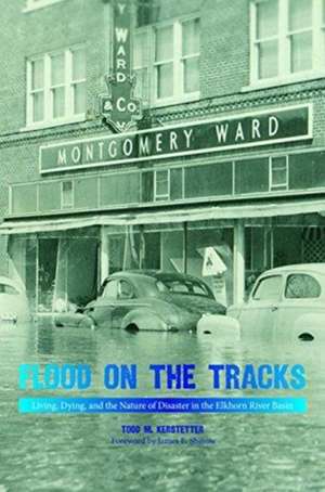 Flood on the Tracks de Todd M Kerstetter