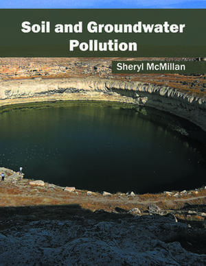 Soil and Groundwater Pollution de Sheryl McMillan