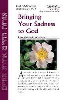 Bringing Your Sadness to God-12 Pk de Jewish Lights Publishing