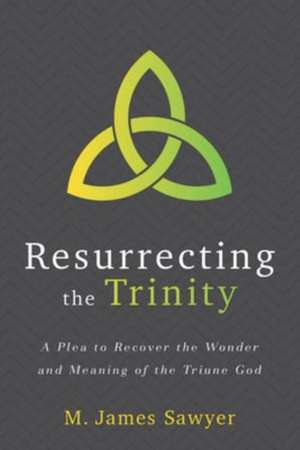 Resurrecting the Trinity de M. James Sawyer
