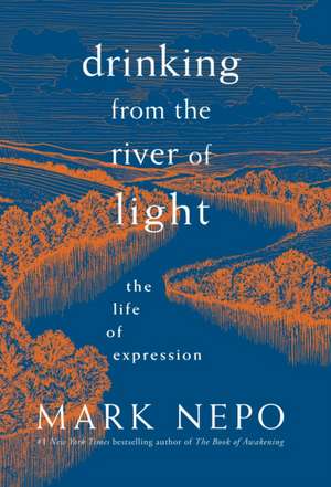 Drinking from the River of Light de Mark Nepo