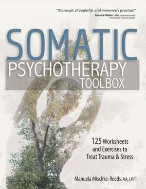 Somatic Psychotherapy Toolbox de Manuela Mischke-Reeds