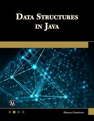 Data Structures in Java de Oswald Campesato