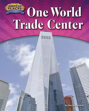 One-World Trade Center de Meish Goldish