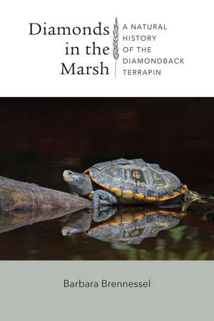 Diamonds in the Marsh: A Natural History of the Diamondback Terrapin de Barbara Brennessel