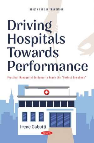 Driving Hospitals Towards Performance: Practical Managerial Guidance to Reach the de Irene Gabutti