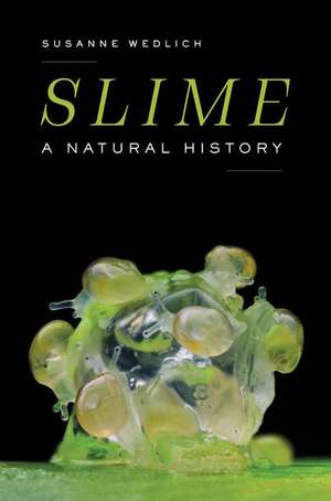 Slime de Susanne Wedlich