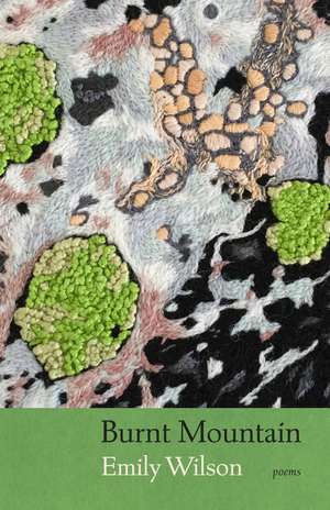 Burnt Mountain de Emily Wilson