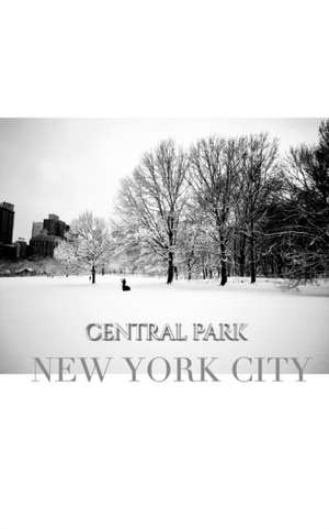 central park New York City Winter wonderland blank journal de Michael Huhn