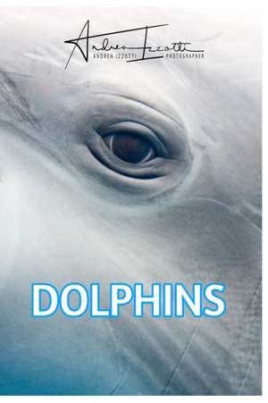 Dolphins de Andrea Izzotti