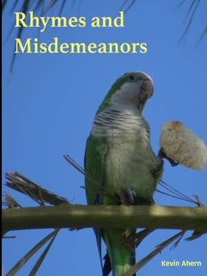 Rhymes and Misdemeanors de Kevin Ahern